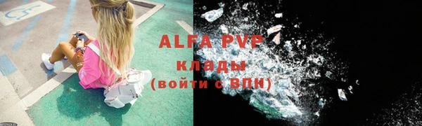 хмурый Аркадак