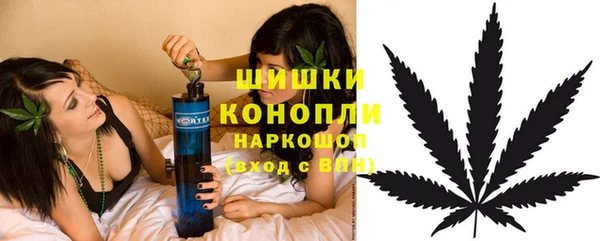 хмурый Аркадак