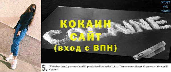 хмурый Аркадак