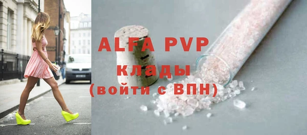 хмурый Аркадак