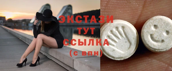 хмурый Аркадак