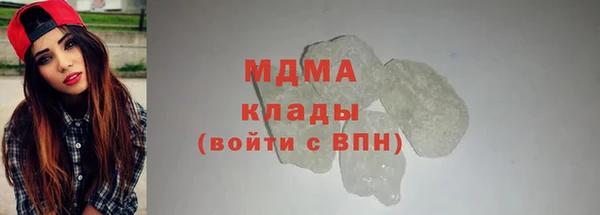 хмурый Аркадак