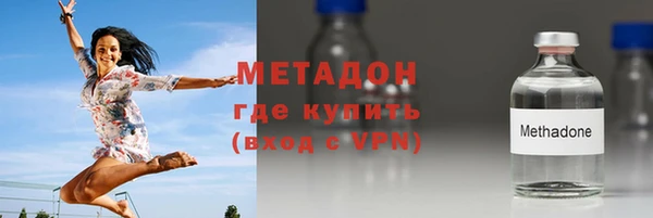 хмурый Аркадак