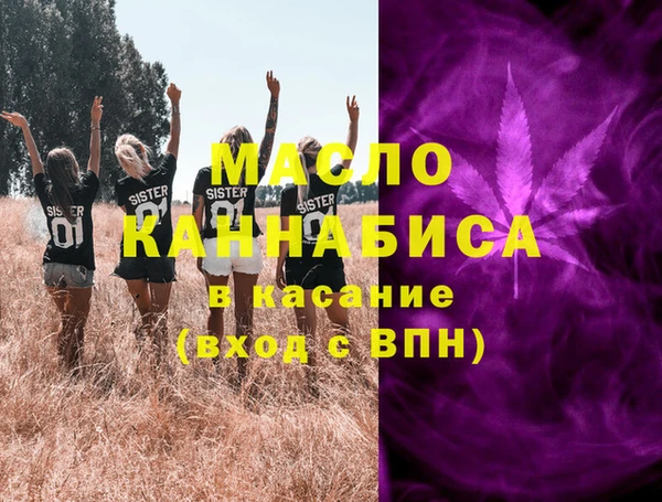 хмурый Аркадак