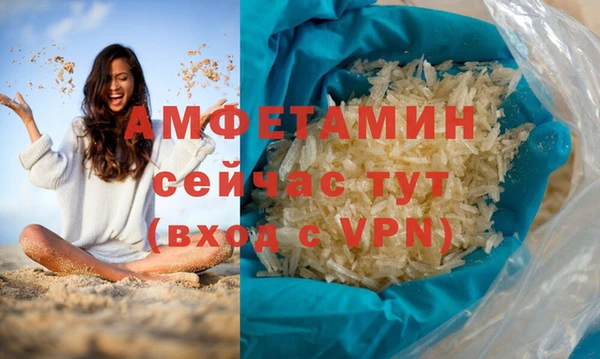 хмурый Аркадак