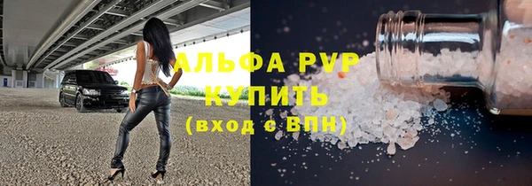 хмурый Аркадак