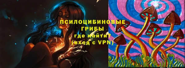 хмурый Аркадак