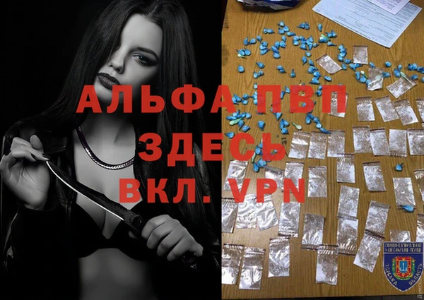 дживик Арсеньев