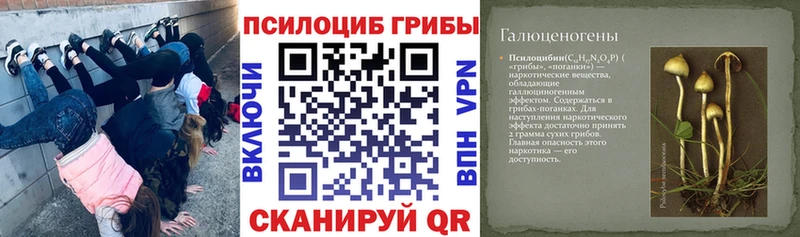 Галлюциногенные грибы прущие грибы  Таруса 